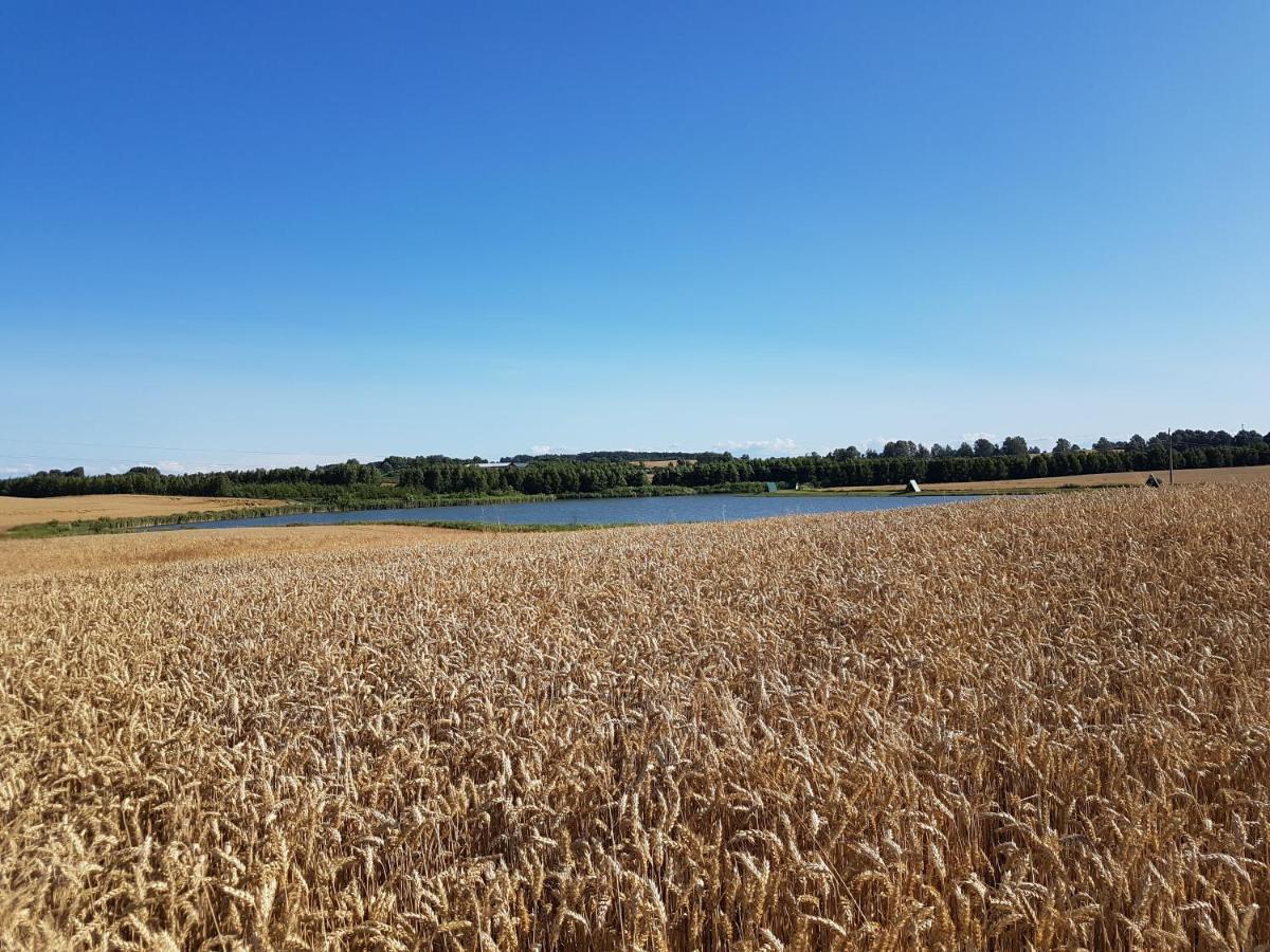 Sterla - Masuria Vila Giżycko Exterior foto